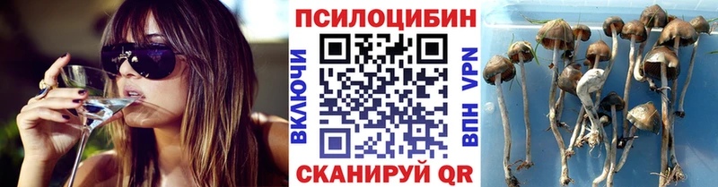 Галлюциногенные грибы ЛСД  Нижнекамск 