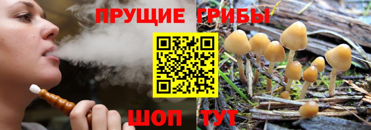 Псилоцибиновые грибы ЛСД  Вход с VPN  Галлюциногенные грибы MAGIC MUSHROOMS  Нижнекамск 